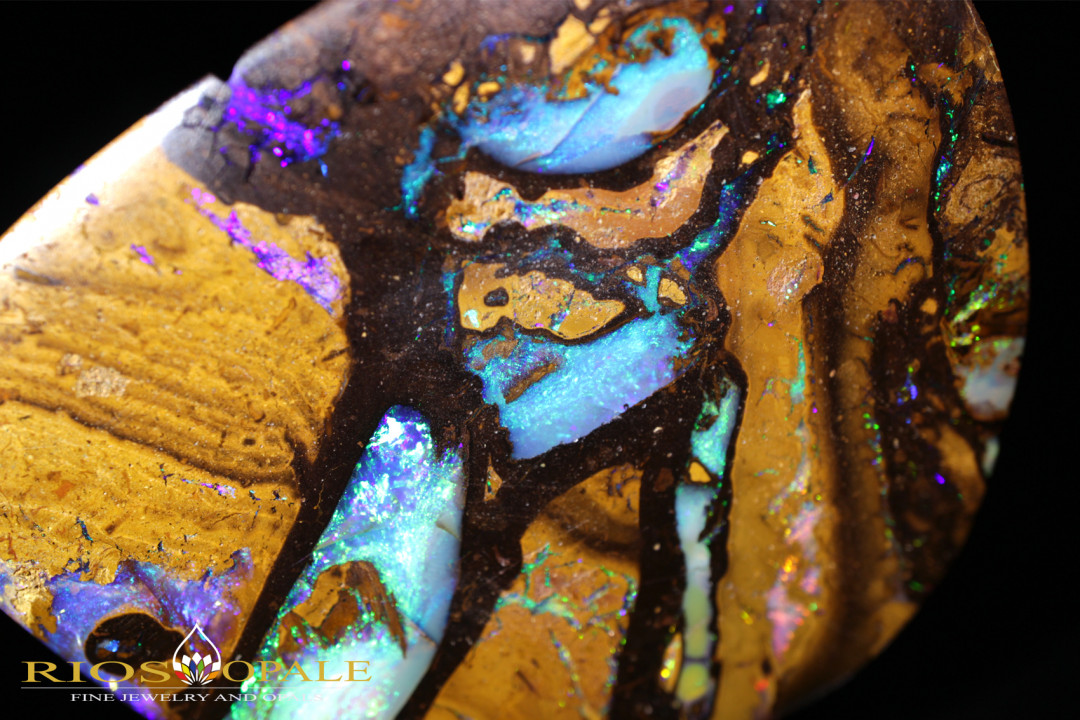 Yowah Boulder Opal Nüsse - 66,69ct